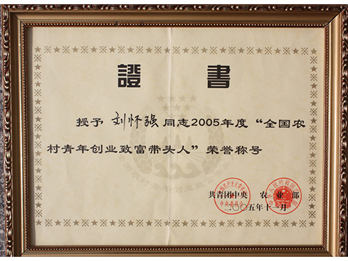 荣誉资质2